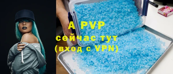 прущие грибы Абдулино