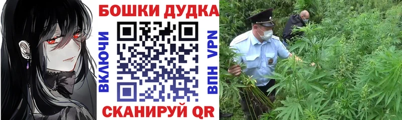 гидра зеркало  купить наркотики сайты  Шлиссельбург  МАРИХУАНА индика 